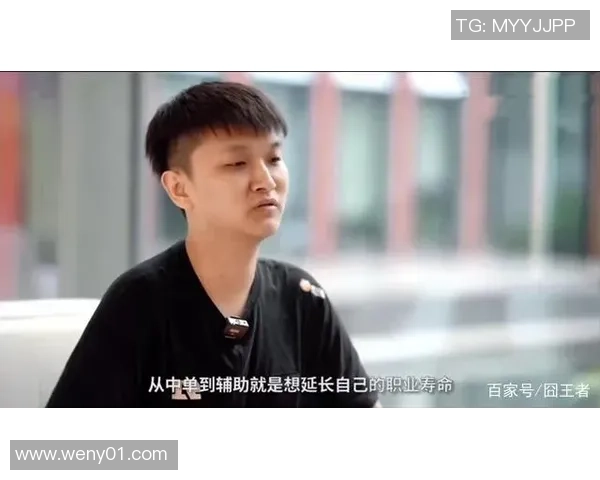 Cat的心路历程与成长：转型辅助带来的新机遇与挑战